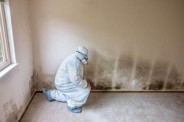 Best Crawl Space Mold Remediation  in North Shore, VA